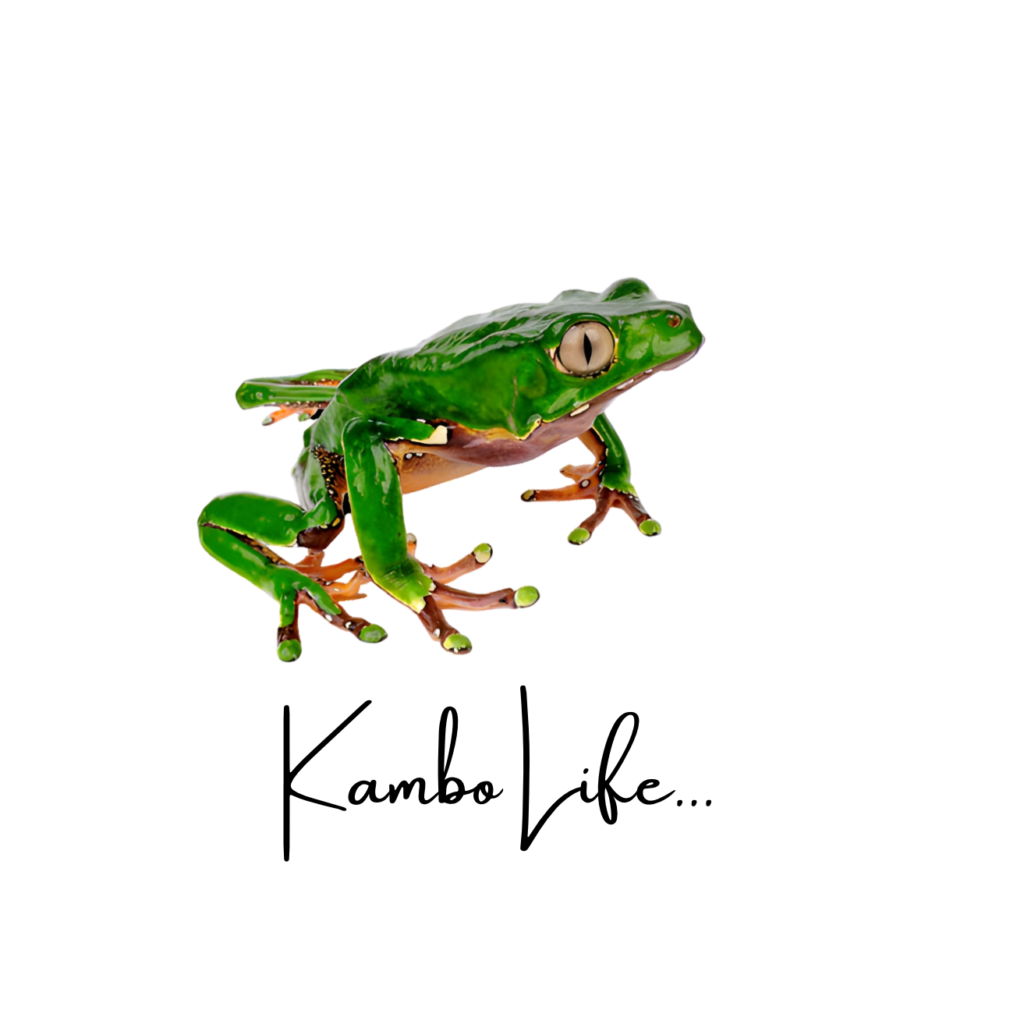 kambolife frog